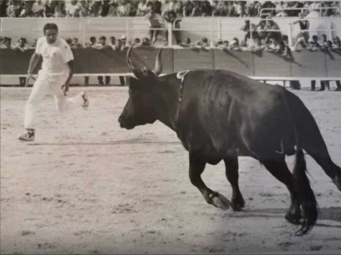 expo photo et rencontre avec des professionnels de la culture camarguaise