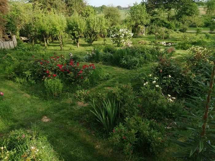 Freie Besichtigung, die Besitzer stehen zur Verfügung, um ihre Leidenschaft für Rosen zu teilen. Sie werden Sie diese Pflanzen durch unsere verschiedenen Sinne schätzen lassen: die unerwarteten Gerüch