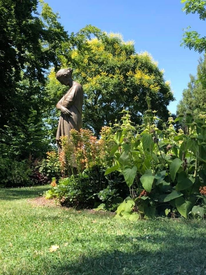 Spielerischer und sinnlicher Rundgang im Schlosspark: Baumklettern, Holzspiele, Barfußweg, Duftgarten und Stände mit Birke und Saft, Pflanzen und ihren Tugenden...