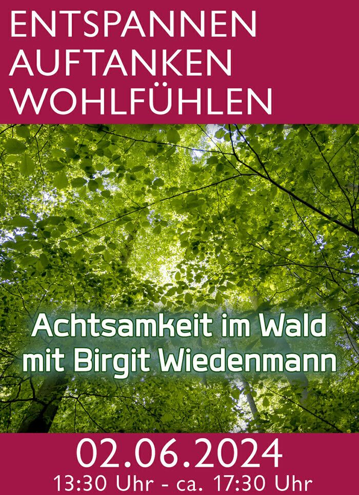 Entspannen, Auftanken, Wohlfühlen: Waldzeit ist Auszeit - Achtsamkeit im Wald mit Birgit Wiedenmann