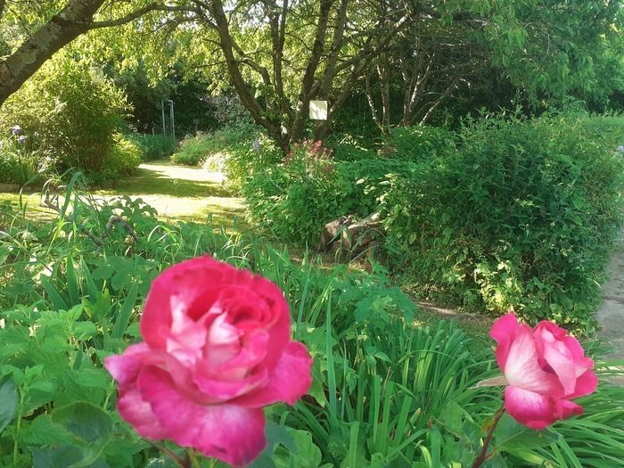 Naturgarten auf den Prinzipien der Permakultur