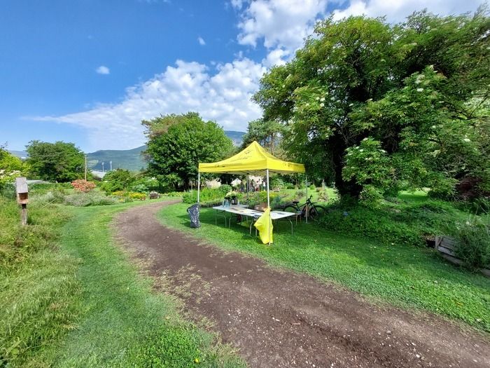 Der Garten ist von 9.00 bis 18.00 Uhr für die Öffentlichkeit geöffnet. Rund 45-minütige Besuche werden stündlich (außer zwischen 12.00 und 13.00 Uhr) organisiert.