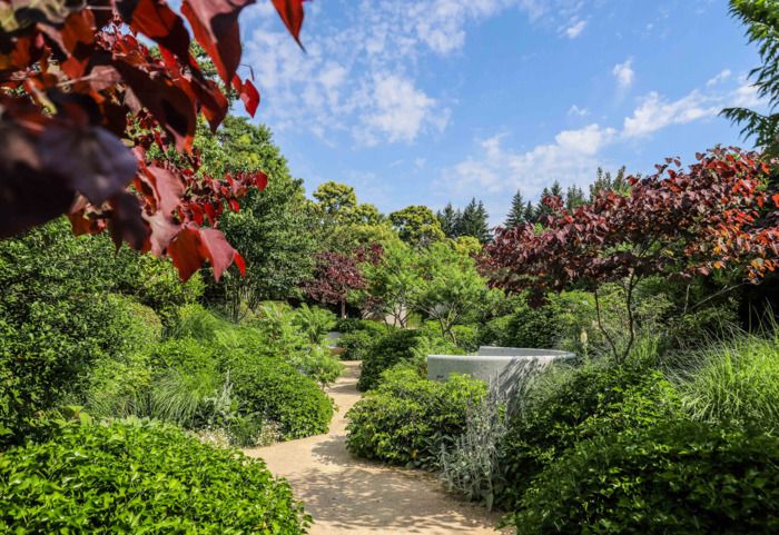 Im Rahmen der "Rendez-vous aux Jardins 2024" bieten die Jardins Sothys eine Intervention mit Emilie Gabet an, Umweltpädagogin des CPIE de la Corrèze.