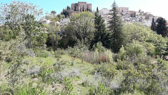 Between nature, biodiversity and landscape. Guided tours of the Lauretum Landscape Park and Ligustri Garden in Loreto Aprutino (PE).