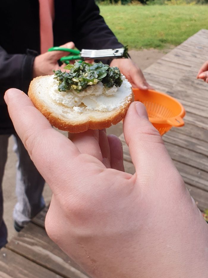 BALADE / Les chemins offrent à toutes les saisons des petits plaisirs à grignoter à qui sait les identifier (et les cuisiner). Nature & Société propose une balade pour renouer avec la cuisine sauvage.