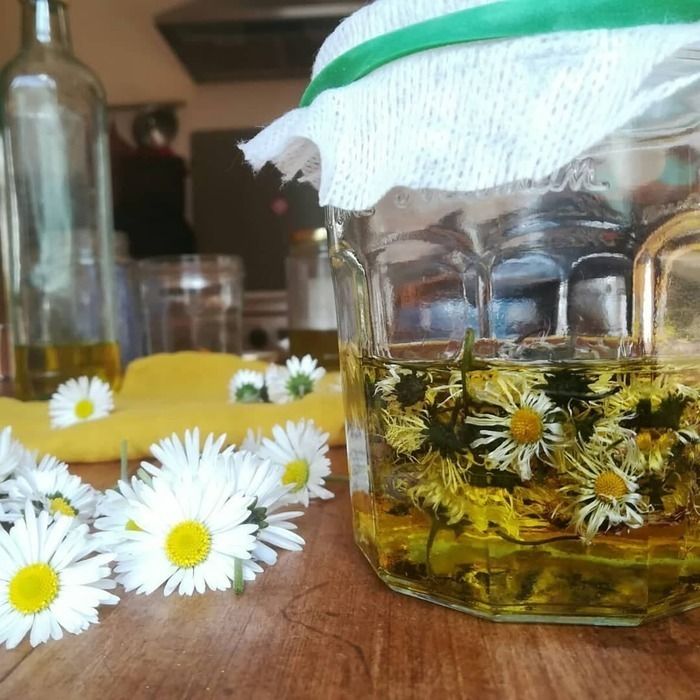 ATELIER / Découverte de l’usage des plantes de nos parcs et jardins et apprendre à élaborer quelques produits simples, huile florale, vinaigre floral, sel aromatique de plantes au fil des saisons.