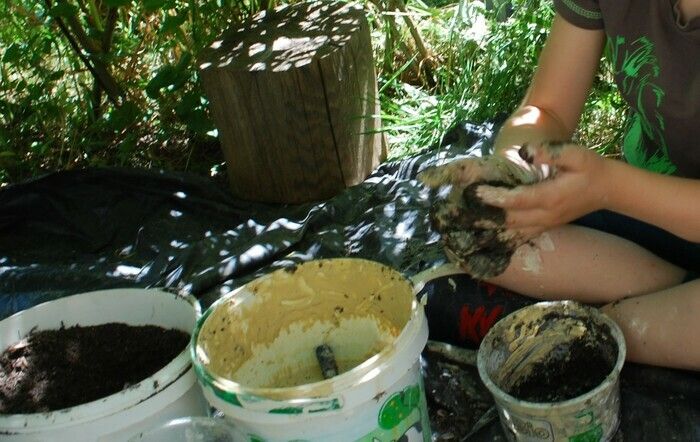 Aus diesen fruchtbaren Bomben werden alle Arten von Pflanzen mit schönen Blumen wachsen, die die Bienen füttern werden.