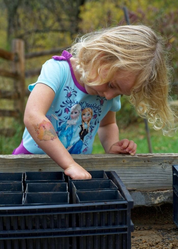 Jeux autour du jardin de la médiathèque