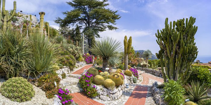 Besuch des exotischen Gartens. Die Führung ist kostenlos, der Garten bleibt unter üblichen Bedingungen kostenpflichtig. Anmeldung beim Fremdenverkehrsamt: 04 93 41 26 00