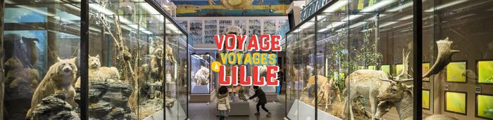 Profitez de la saison estivale pour un "Voyage Voyage" au musée d'histoire naturelle de Lille !