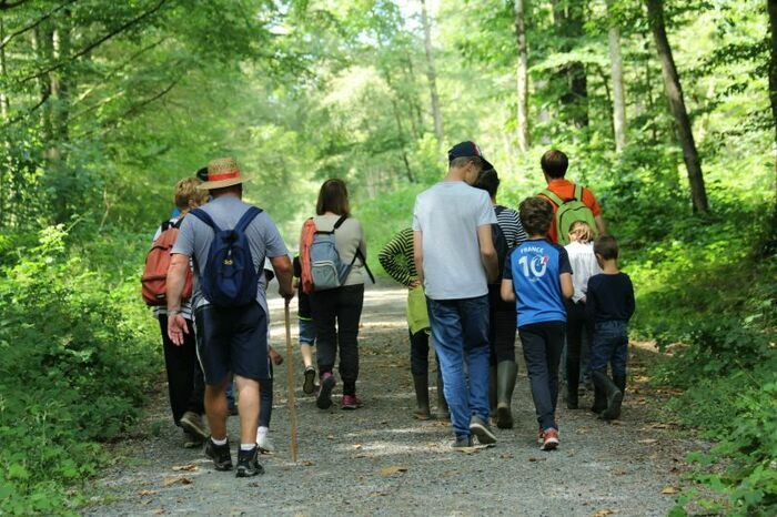 Levez la tête et tentez d'observer les animaux qui peuplent les cimes des arbres de la forêt de Cerisy. Oiseaux, petits mammifères, insectes... 
    (3km/2h) - Niveau 1