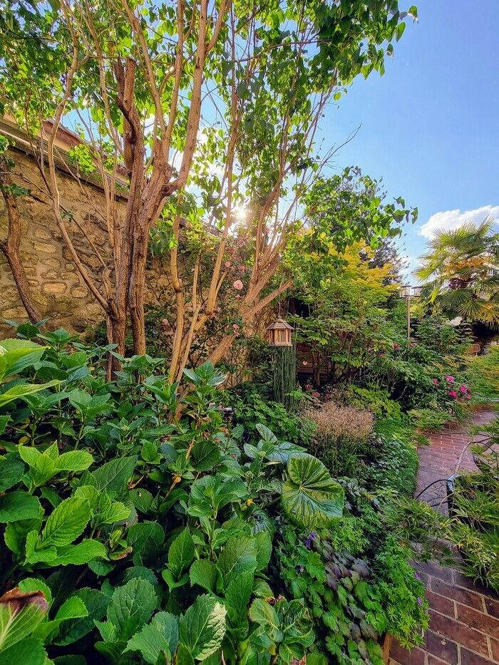 Ein Garten alter Pflanzen