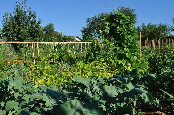 Les ateliers de la Ferme urbaine - pour les enfants