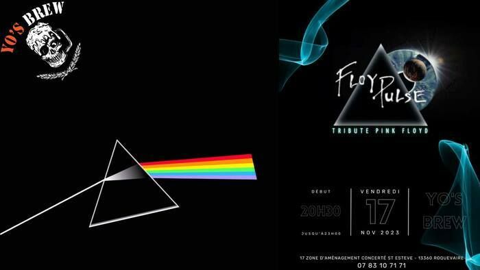 ♫TRIBUTE PINK FLOYD♫