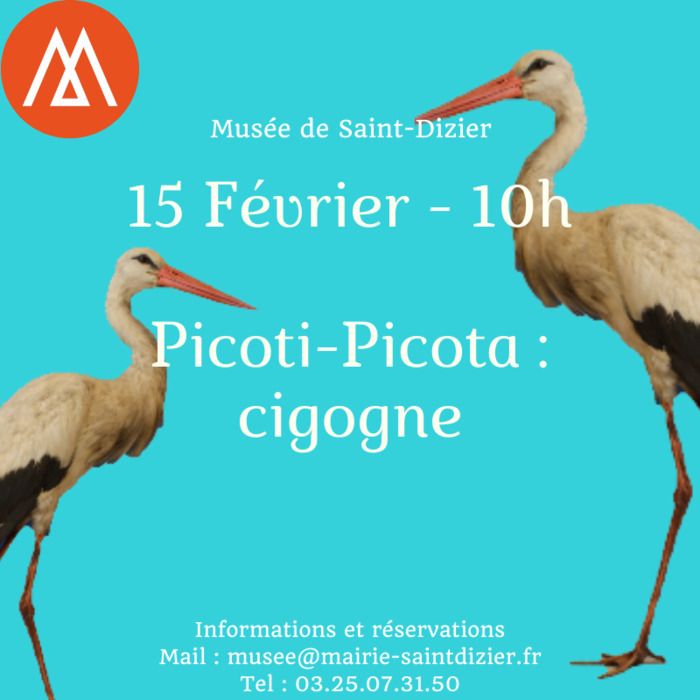 Une découverte des collections naturalisées pour les tout-petits, l’occasion de se retrouver autour d’un oiseau et de découvrir une belle histoire.