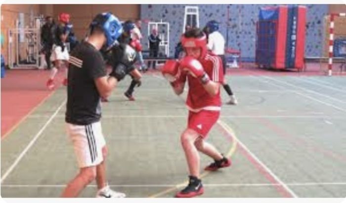 Championnat départemental 4ème série de savate et boxe française