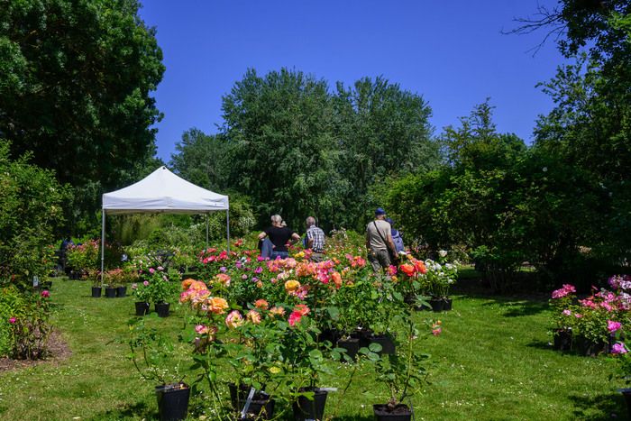 Das Rosenfest ist ein unverzichtbares Frühlingsereignis für Liebhaber von Rosen und Pflanzen und empfängt Sie am 1\. und 2\. Juni 2024 im Rosengarten Les Chemins de la Rose. Genießen Sie Ihren Besuch.