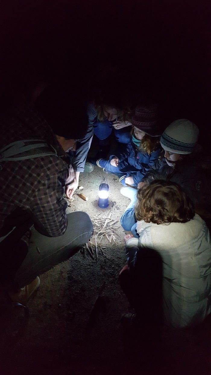 Balade découverte de la nature à la tombée de la nuit