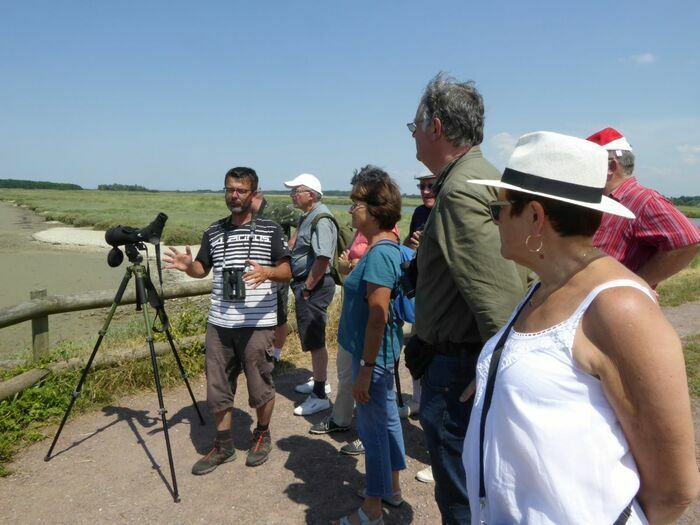 Partez à la découverte des oiseaux et  apprenez à les reconnaître le temps d’une balade.
    Tout public (dès 8 ans).
    (4km/2h) - Niveau 1