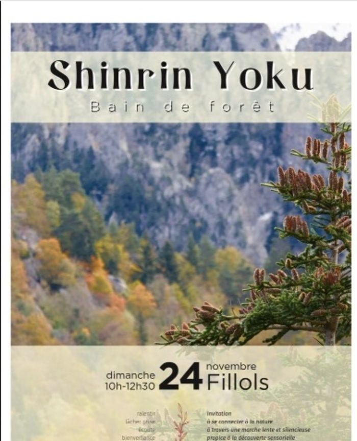 Shinrin Yoku - Bain de forêt