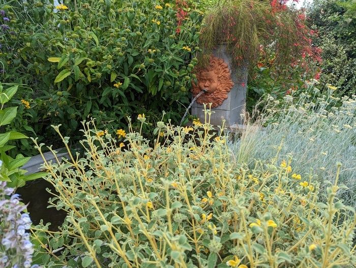 Wir bieten Ihnen einen kostenlosen oder begleiteten Besuch (je nach Wunsch und Verfügbarkeit) des Gartens l'Ouchette des Groies. Dieser kleine Blumengarten vereint viele Stauden, Sträucher, Blumen...