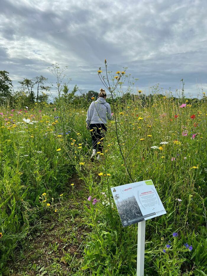 Participez à un atelier de permaculture au jardin du Prinvault le 6 novembre à 14h. Plantation de bulbes et récolte de plantes aromatiques.