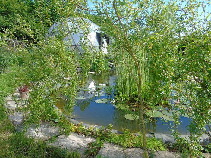 Visite des jardins en permaculture sur réservation.  ...