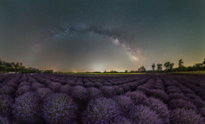 [https://www.vopz.sk/park/13203-levanduland-levandula-zo-zahoria](https://www.vopz.sk/park/13203-levanduland-levandula-zo-zahoria)