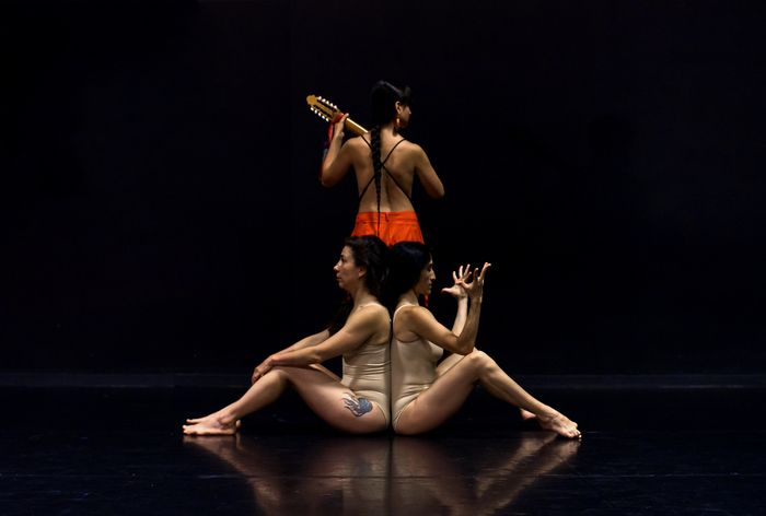 Danse contemporaine et performance