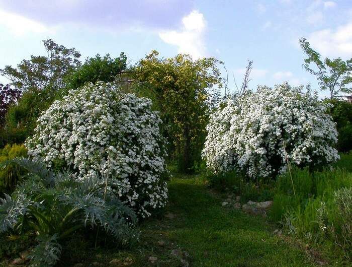 Entdecken Sie unseren kostenlosen Garten anlässlich der Veranstaltung Rendez-vous aux Jardins!