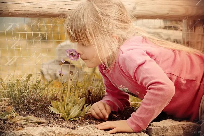 Familienführung und Botanischer Parkspaziergang – Erkundung der Natur
    durch Tasten, Riechen und Fühlen.