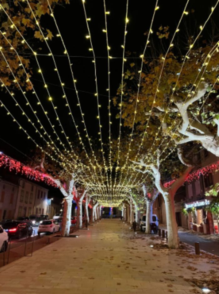 Décoration des sapins, inauguration ds illuminations de Noël, chants de Noël avec "Mélodie en choeur" . Vin chaud, châtaignes, boissons, douceurs sucrées salées, proposés par les associations.