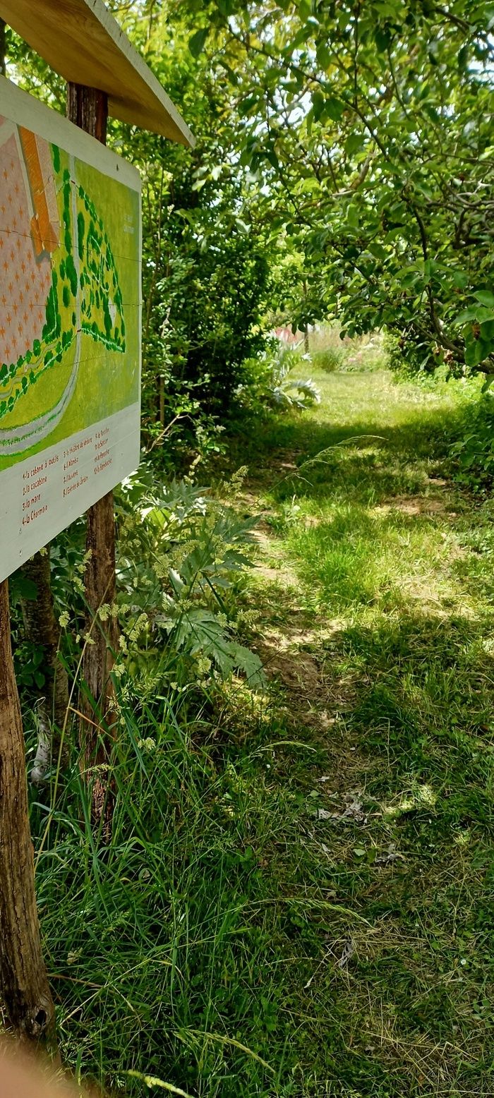 Selbstbedienungsbesuch Garten. Treffen mit Freiwilligen vor Ort.