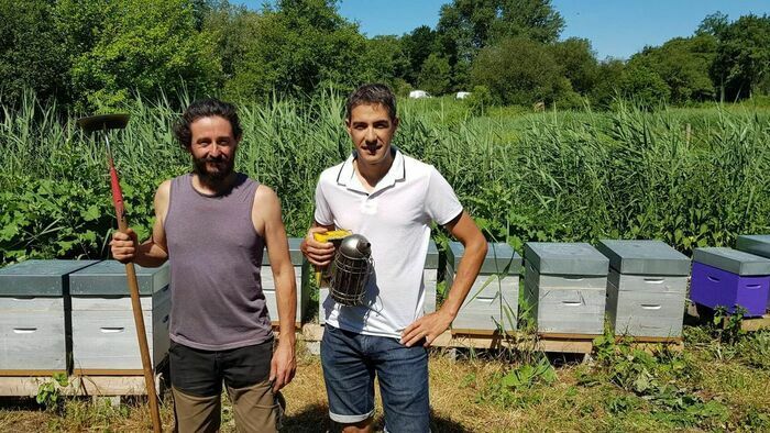 Visite des exploitations : maraîchage et apiculture