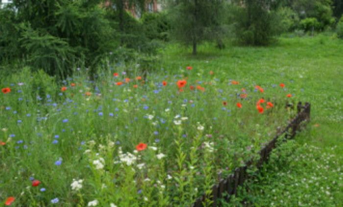 [https://www.vopz.sk/park/13700-spojena-skola-internatna-trencin](https://www.vopz.sk/park/13700-spojena-skola-internatna-trencin)