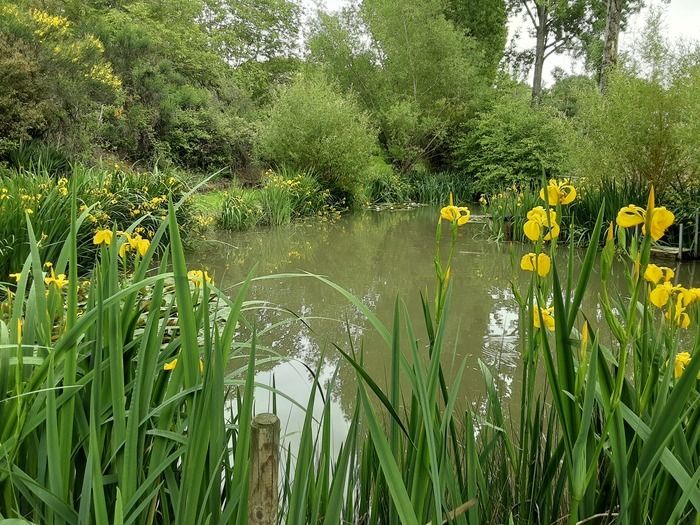 Der Kreislauf des Wassers: