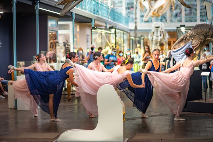 Pour bien commencer les vacances, la compagnie Insolit'a Danse revient au Musée et nous propose un spectacle et un atelier !