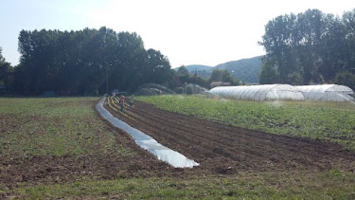 Anlässlich der Rendez-vous aux jardins 2024 empfängt Sie der Jardin de Cocagne ausnahmsweise für Führungen. Unser Geschäft wird geöffnet, zusätzlich zu einem kleinen Markt von Produzenten l...