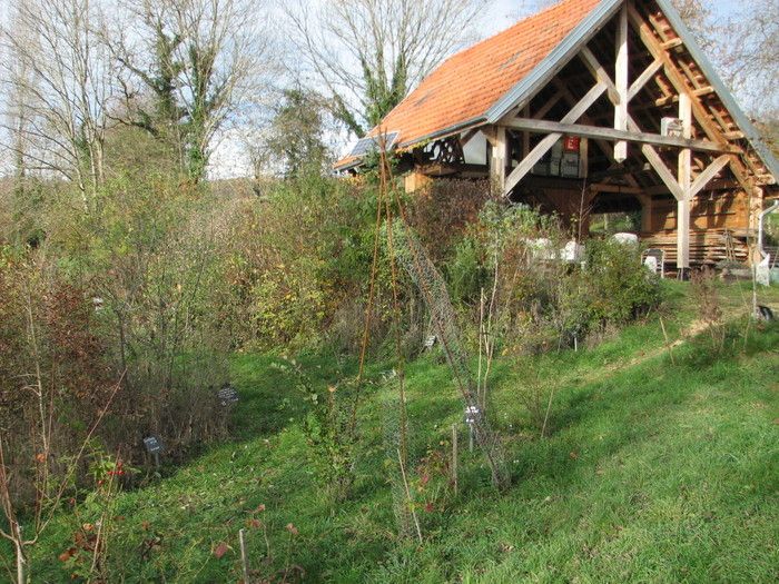 Visite commentée de l'Arboretum des Charmettes, 450 espèces d'arbres et d'arbustes, d'ici et d'ailleurs