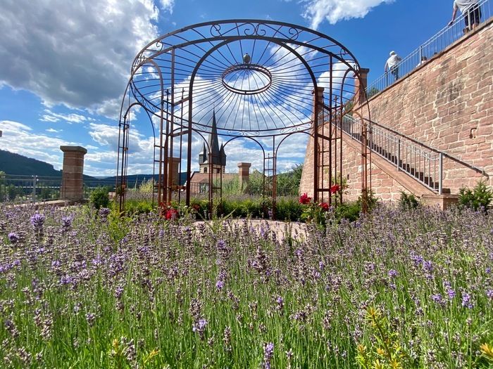 Der Garten bezaubert und öffnet unsere Sinne. Der auf Terrassen angelegte Garten aus dem 19. Jhd. führt  über mehrere Höhenebenen und schenkt weite Blicke ins Maintal.