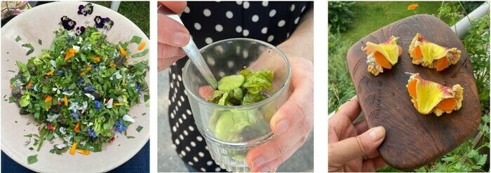 Un atelier pour les gourmands et curieux de retrouver la diversité végétale comestible, aromatique, cultivée ou sauvage dans leur assiette.