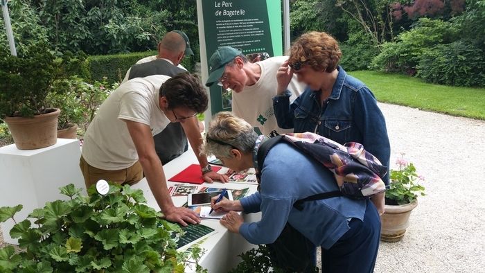 Rosengarten-Gärtner geben ihre besten Tipps für den Rosengarten-Anbau