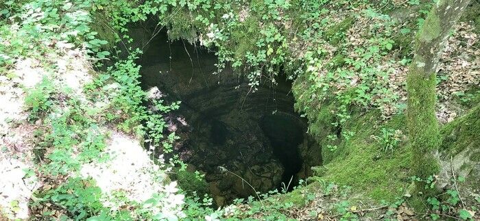 Randonnée accompagnée d'un guide nature  au cœur des gouffres de Trois-Fontaines-l'Abbaye  (environ 5 km) . Sur réservation uniquement