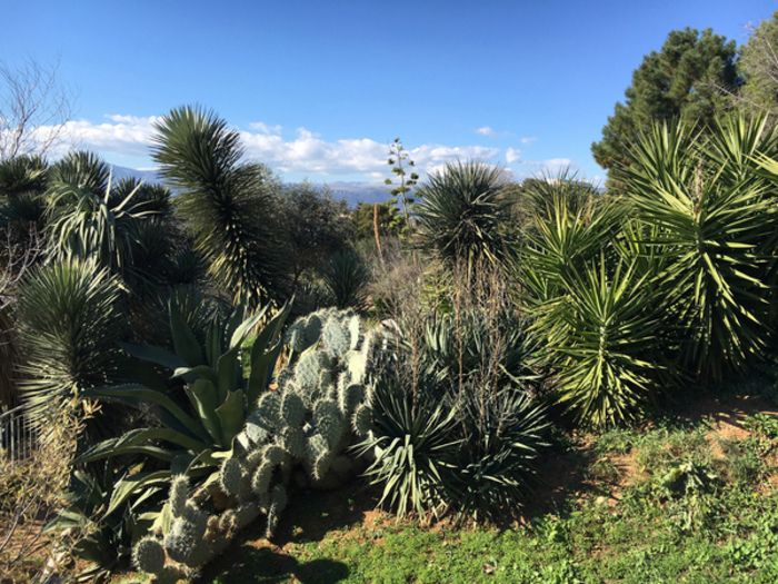 Freie Besichtigung der Sammlungen des Botanischen Gartens, der an den Klimawandel angepasste Pflanzen präsentiert. Entdecken Sie die Gerüche der mediterranen Macchia mit vielen duftenden Blättern wie