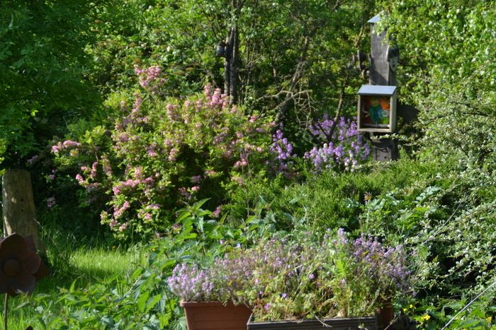 Freie Besichtigung begleitet. Die Aufmerksamkeit des Besuchers wird auf die Entdeckung des Gartens durch das Gefühl gelenkt, mit Pausen, um zuzuhören, zu riechen, manchmal zu schmecken und sich dem Mä