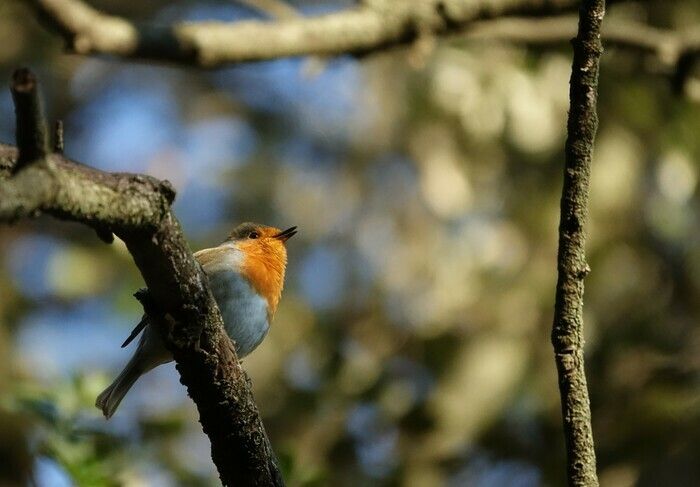 Die Natur in jeder Hinsicht