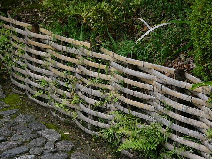 Kommen Sie und lernen Sie die Pflanzenarchitektur durch die Technik des Korbflechtens kennen: Wir werden die mittelalterlichen Quadrate in den Gärten des Priorats in plessis (Stöcke ...