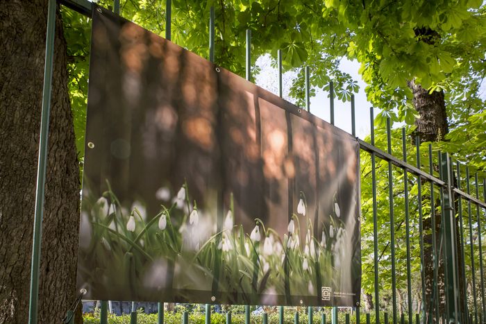 Magyarországi történeti kerteket bemutató poszterkiállítás látható a kastély kerítésén (válogatás Darabos György fotóművész kertfotóiból, Magyar Kertörökség Alapítvány)