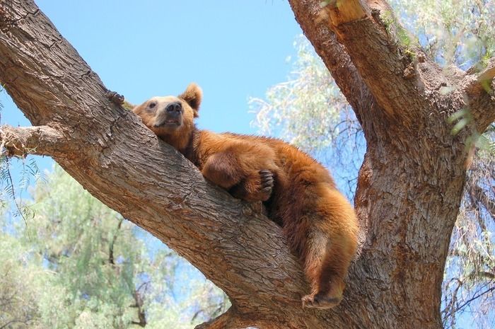 Sieste littéraire