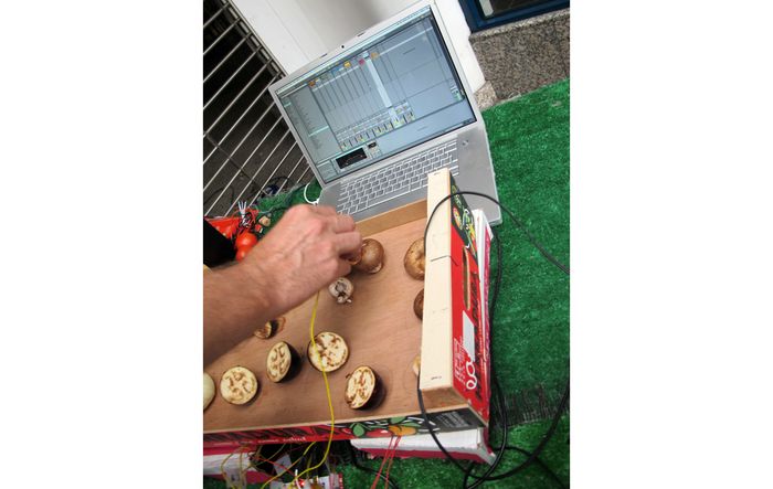 Découvrez un langage végétal particulier avec cet atelier multimédia qui invite à fabriquer des plantes et des légumes connectés. Cet atelier est proposé comme une prolongation de la conférence...